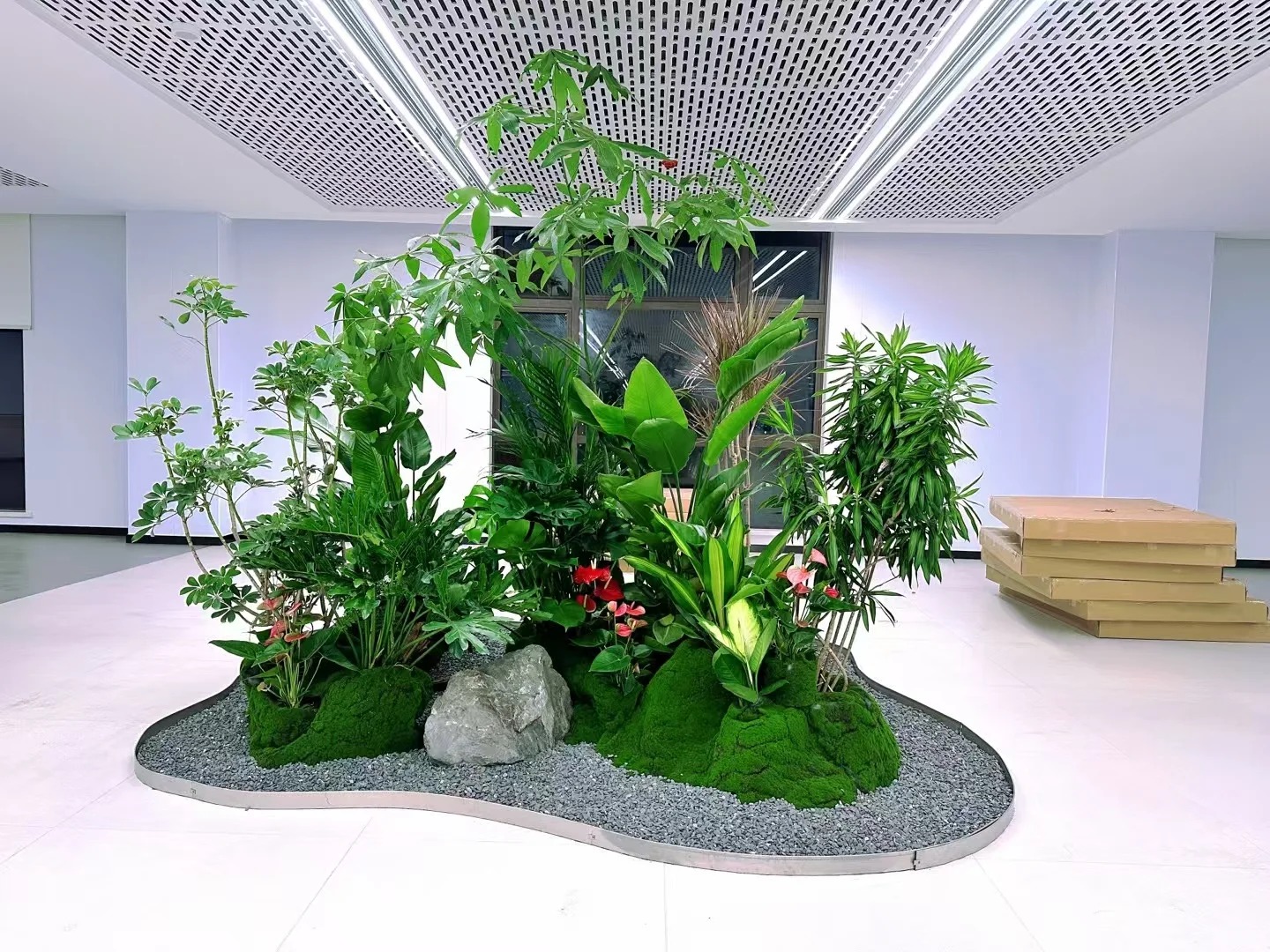 余姚盆景租摆,价格亲民,品质却不打折!